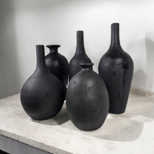 Ravens Shadow Series